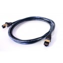 Câble Ethernet Audioquest RJ/E Forest