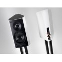 Sonus faber Venere 1.5 Regallautsprecher