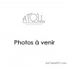 Amplificateur de puissance Atoll AM50 SE