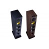 Enceintes colonne Davis Acoustics Vinci Signature Enceintes colonne Davis Acoustics Vinci Signature