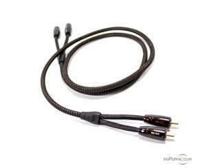 Audioquest BIG SUR Modulationskabel