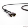 Audioquest BIG SUR Modulationskabel