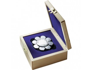 Thorens Stabilisator-Puck