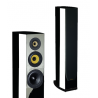 Enceintes colonne Davis Acoustics CEZANNE