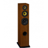 Enceintes colonne Davis Acoustics CEZANNE