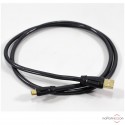 USB-Kabel QED Performance Graphite