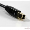 Câble USB Audioquest Pearl