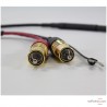 Câble phono Cardas Iridium
