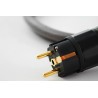 Câble d'alimentation Tellurium Q Black Power
