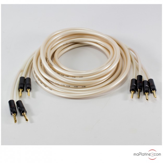 Câbles HP Atlas Equator