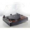 Manueller Plattenspieler Thorens TD 550 mit SME 309 Tonarm