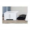 DAC Meridian Director
