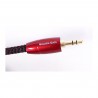 Audioquest Golden Gate Modulationskabel