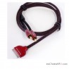 Audioquest Golden Gate Modulationskabel
