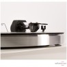 Platine vinyle manuelle Pro-Ject 1-Xpression Carbon Classic