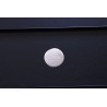Aplanisseur de vinyles Furutech DF-2 Aplanisseur de vinyles Furutech DF-2