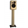 Pieds ASA Monitor