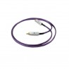 Câble coaxial Wireworld Ultraviolet