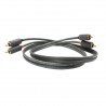 Wireworld Terra Modulationskabel