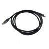 USB-Digitalkabel Audioquest Carbon