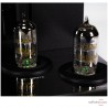 Amplificateur intégré Mc Intosh MA 252
