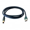 Câble Audioquest Forest USB