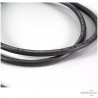 Câble de modulation Wireworld Equinox 8
