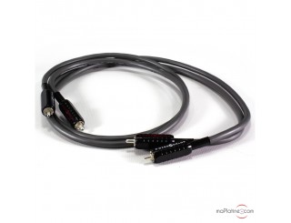 Câble de modulation Wireworld Equinox 8