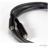 Câble de modulation Wireworld Equinox 8
