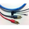 Cavo Cardas Quadlink Phono