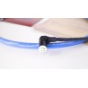 Cardas Quadlink Phono Kabel