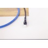 Cavo Cardas Quadlink Phono
