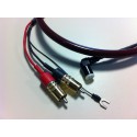 Cavo Cardas Golden Cross Phono