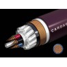 Cardas Golden Cross Phono Kabel