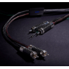 Câble phono Furutech Silver Arrows 2