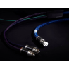 Câble phono Furutech AG-16