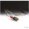 Tocadiscos Pro-Ject X-Tension 9CC Evo