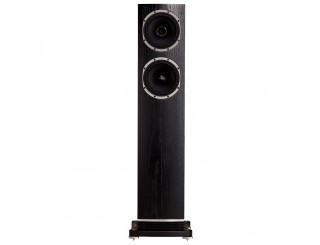 Enceintes colonnes Fyne Audio F501