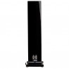 Enceintes colonnes Fyne Audio F501