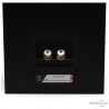 Enceintes de bibliothèque Fyne Audio F301
