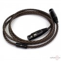 Cable numérique AES/EBU Wireworld Micro-Eclipse 8