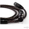 Cable numérique AES/EBU Wireworld Micro-Eclipse 8