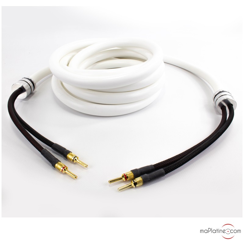 Câbles haut-parleurs Viard Audio Silver HD20 HP Câbles enceintes, fiches  bananes et fourches - Découvrez nos offres