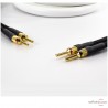 Câbles haut-parleurs Viard Audio Silver HD20 HP