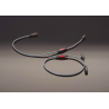 Câble de modulation XLR Transparent Musiclink Balanced