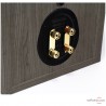 Enceintes de bibliothèque Monitor Audio Bronze 100