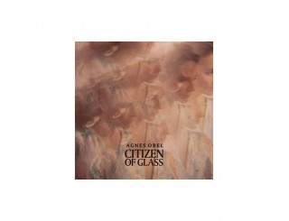 Disque vinyle Agnes Obel - Citizen of Glass