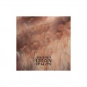 Vinylplatte Agnes Obel - Citizen of Glass