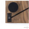 Platine vinyle Pro-Ject Debut Carbon EVO