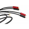 Câble phono Atlas Hyper TT Achromatic